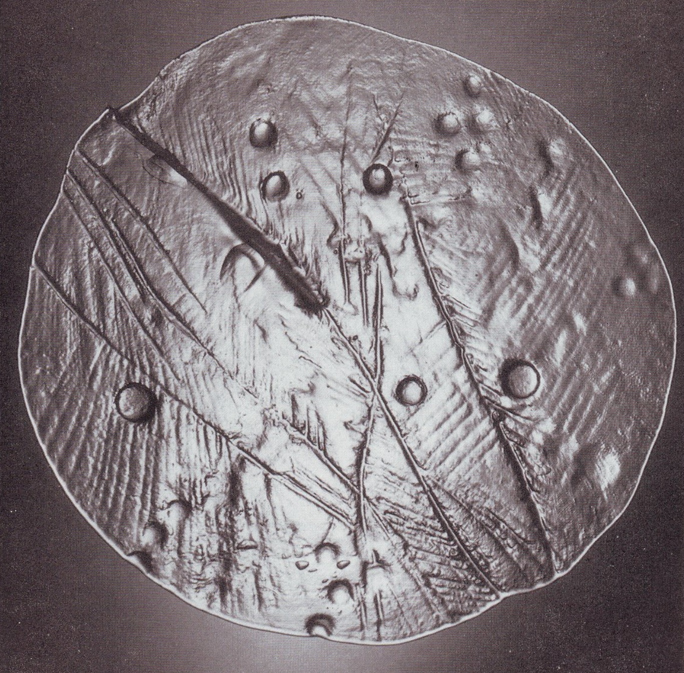 Libochovice - 4911/450, Plate