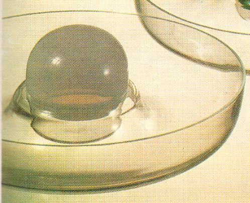 Borské sklo - 50379/31, Bowl