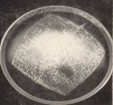 Poděbradské sklárny - 106/TS/1375/36, Plate