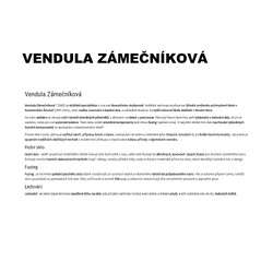 Vendula Zámečníková