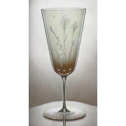 ŽBS -  Glass