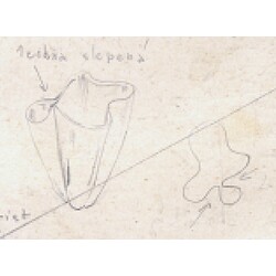 E. Beránek - 5019, Vase