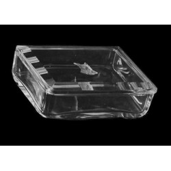 H. Hoffmann - 293, Box