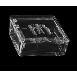 H. Hoffmann - 379, Box