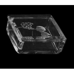 H. Hoffmann - 295, Box