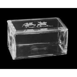 H. Hoffmann - 391, Box