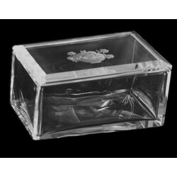 H. Hoffmann - 364, Box