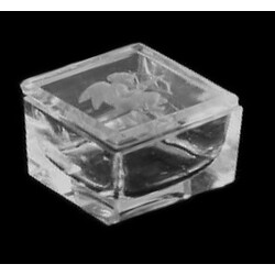 H. Hoffmann - 60, Box