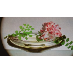 Chřibská -  11/67/Ž, Jardiniere