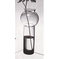 Vrbno -  Vase