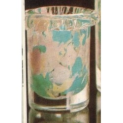 K. Wünsch - 7916/16, Vase