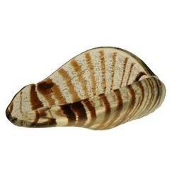 M.Velíšková - 5037, Ashtray