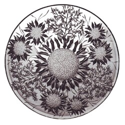 Josefodol - 34/66107/0/62044/370, Plate