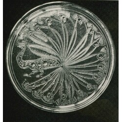 Rosice - 1640/340, Plate