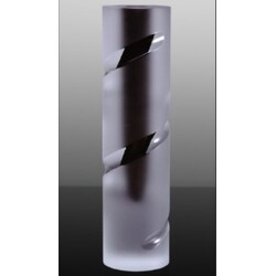 Pavel Stejskal jr. - Vase 11 2001 323/28