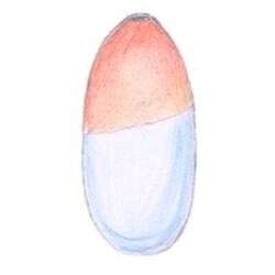 Z. Strobachová - 6218, Vase
