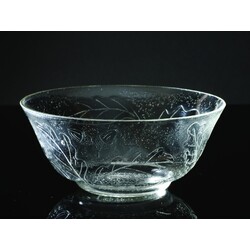 ČMS - Bowl