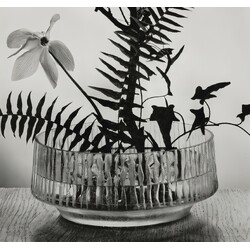 Exbor - Bowl Flower exhibition