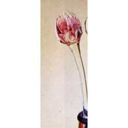 M. Roubíčková - 8851/40, Flower