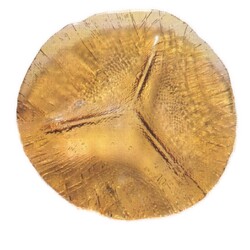 Rudolfova huť - 13389/330, Plate