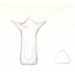 Myers - 6205, Vase