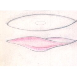 Myers - 6234, Bowl