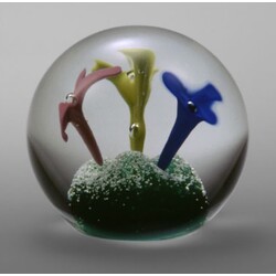 Radek Kolbábek - Paperweight 61 1994 02/8