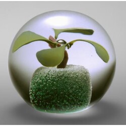 Radek Kolbábek - Paperweight 61 1994 04/8