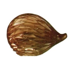 ŽBS -  814063/7, Figure