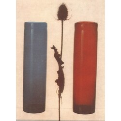 Chřibská - Vase