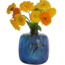 Chlum - 12872/H-0029/16,5 cm, Vase