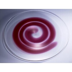 Jan Exnar - Plate 21 1999 19/55