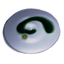 Jan Exnar - Plate 21 1999 22/55