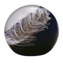 M. Čermák - 8809/10, Paperweight
