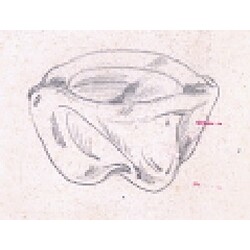 E. Beránek - 50128, Ashtray