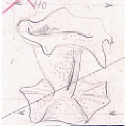 E. Beránek - 50144, Vase