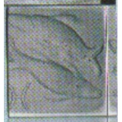 B. Adensamová - Melted sculpture