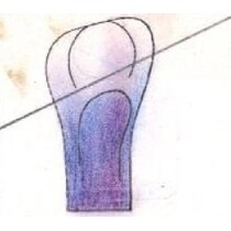 L. Paleček - 6917/25, Vase