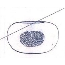 J. Žertová - 6902/28, Vase