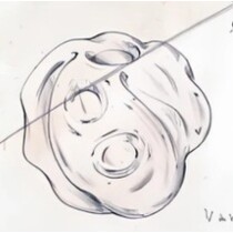 R. Beránek - 5552, Vase