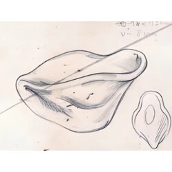 M.Velíšková - 5652, Bowl