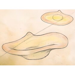 E. Beránek - 5658, Bowl