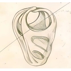 J. Brož - 5665, Vase