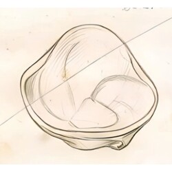 M. Velíšková - 5672, Bowl