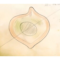 E. Beránek - 5673, Bowl