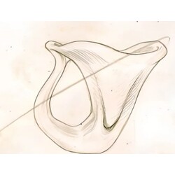 E. Beránek - 5676, Vase