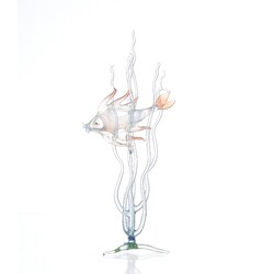 ŽBS - Figure, Aquarium fish
