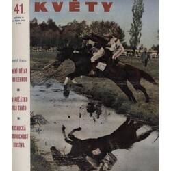 Květy 1962/41