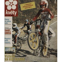 Květy 1988/22