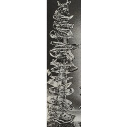Borské sklo - Statue Coral 3